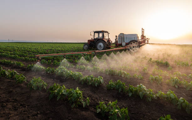Fertilizers
